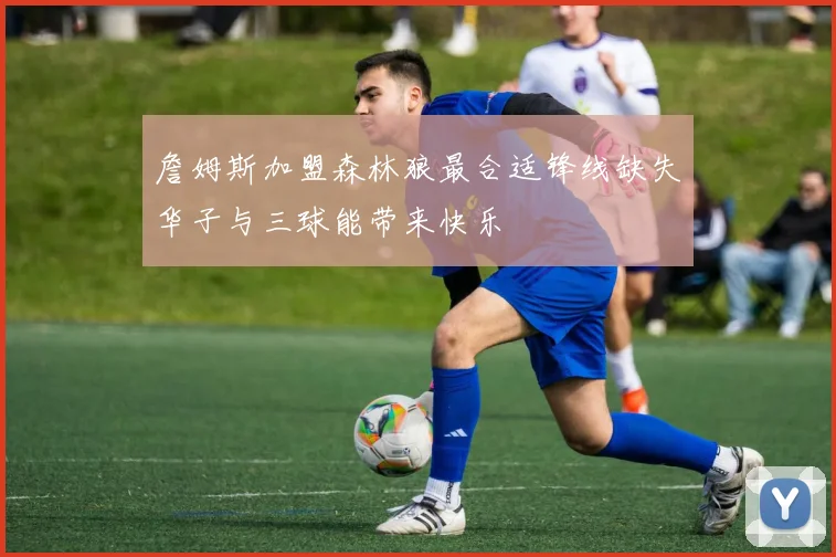 詹姆斯加盟森林狼最合适锋线缺失华子与三球能带来快乐